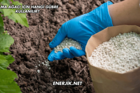 Elma Ağacı İçin Hangi Gübre Kullanılır?