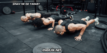 Şınav Ne İşe Yarar?