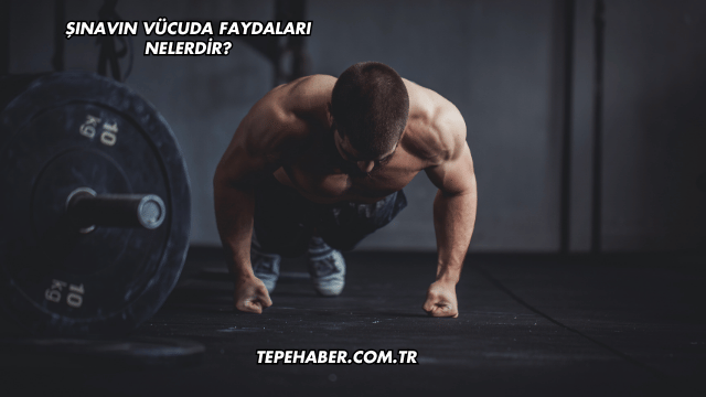 Şınavın Vücuda Faydaları Nelerdir?