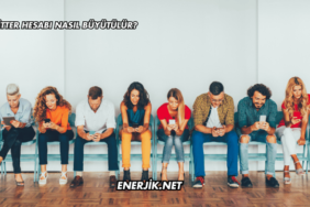 Twitter Hesabı Nasıl Büyütülür?