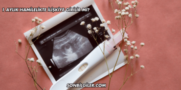 1 Aylık Hamilelikte İlişkiye Girilir mi?