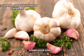Aç Karnına Sarımsak Yemenin Zararları