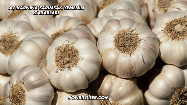 Aç Karnına Sarımsak Yemenin Zararları