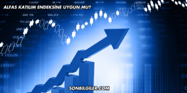 Alfas Katılım Endeksine Uygun mu?