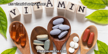 B22 Vitamini Ne İşe Yarar?