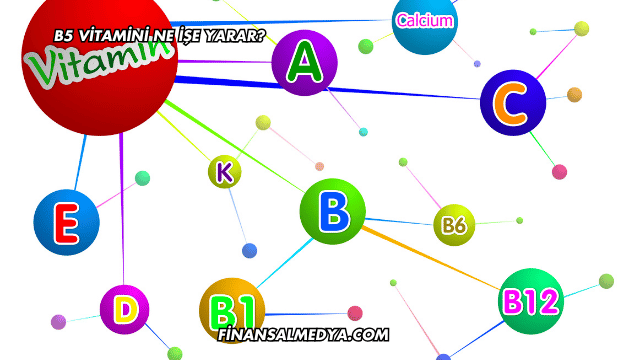 B5 Vitamini Ne İşe Yarar?