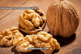 Cevizin Kalbe Faydaları Nelerdir?