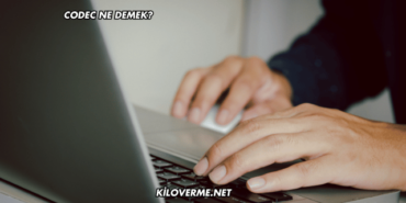 Codec Ne Demek?