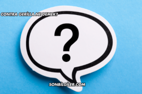 Contra Gerilla Ne Demek?