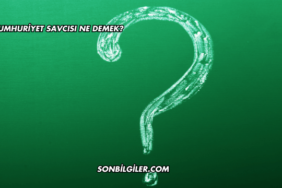 Cumhuriyet Savcısı Ne Demek?