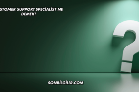 Customer Support Specialist Ne Demek?