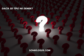 Dacia SD Tipli Ne Demek?