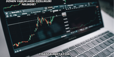 Dönen Varlıkların Özellikleri Nelerdir?