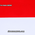 Endonezya Para Birimi