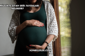 Hamilelikte Siyah Erik Faydaları Nelerdir?