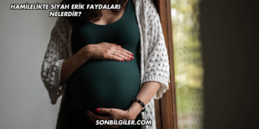 Hamilelikte Siyah Erik Faydaları Nelerdir?
