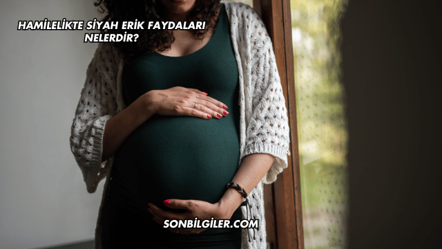 Hamilelikte Siyah Erik Faydaları Nelerdir?