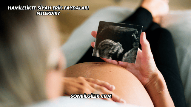 Hamilelikte Siyah Erik Faydaları Nelerdir?