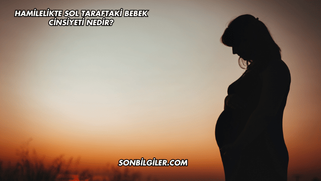 Hamilelikte Sol Taraftaki Bebek Cinsiyeti Nedir?