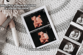 Hamilelikte Somon Balığının Faydaları Nelerdir?