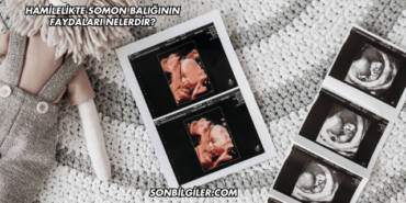 Hamilelikte Somon Balığının Faydaları Nelerdir?