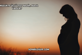 Hamilelikte Üçlü Test Nedir, Nasıl Yapılır?