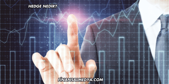 Hedge Nedir?