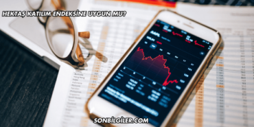 Hektaş Katılım Endeksine Uygun mu?
