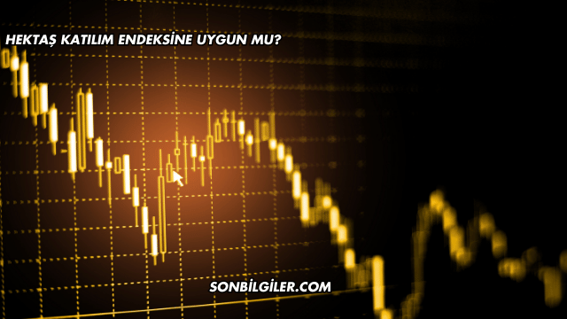 Hektaş Katılım Endeksine Uygun mu?