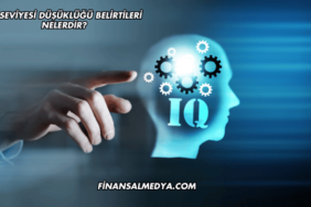 IQ Seviyesi Düşüklüğü Belirtileri Nelerdir?