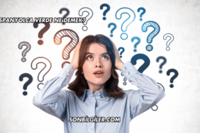 İspanyolca Verde Ne Demek?