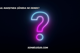 İstiklal Marşı'nda Şüheda Ne Demek?