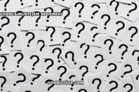 İtalyanca Muhteşem Ne Demek?