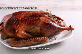 Kaz Etinin Zararları Nelerdir?