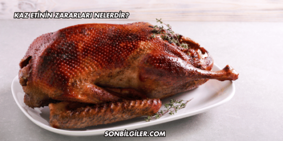 Kaz Etinin Zararları Nelerdir?