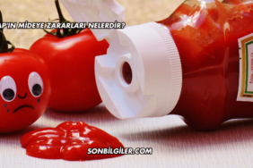 Ketçap'ın Mideye Zararları Nelerdir?