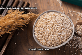 Kinoa Çayı Zararları Nelerdir?