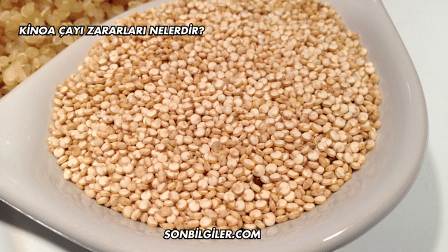Kinoa Çayı Zararları Nelerdir?