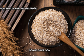 Kinoa'nın Zararları Nelerdir?