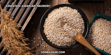 Kinoa'nın Zararları Nelerdir?
