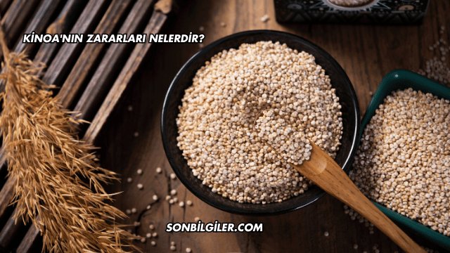 Kinoa'nın Zararları Nelerdir?