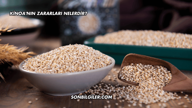Kinoa'nın Zararları Nelerdir?