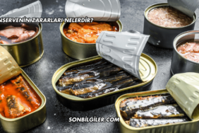 Konservenin Zararları Nelerdir?