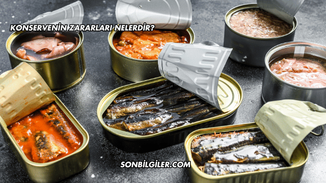 Konservenin Zararları Nelerdir?