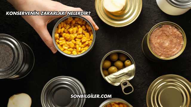 Konservenin Zararları Nelerdir?