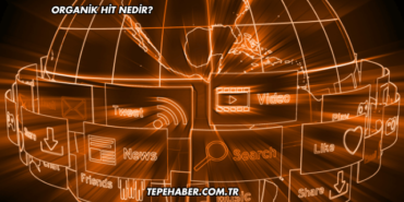 Organik Hit Nedir?