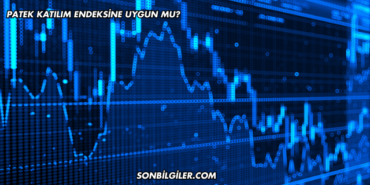 Patek Katılım Endeksine Uygun mu?