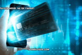 Payeer Nedir, Ne İşe Yarar?