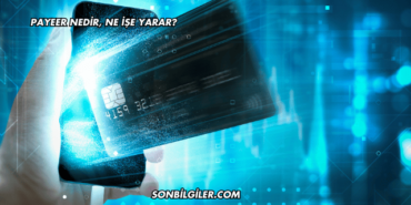 Payeer Nedir, Ne İşe Yarar?
