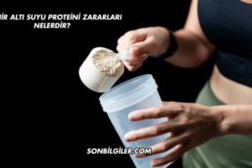 Peynir Altı Suyu Proteini Zararları Nelerdir?